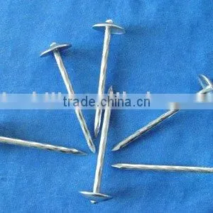 Roofing Nails With Spring Shank thumbnail-1