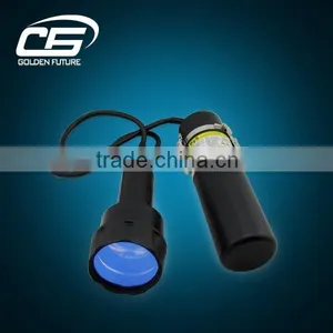 Free Car Adaptor 85w 75w HID Diving Flashlight thumbnail-5