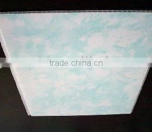 Sky Pattern Ceiling Panel thumbnail-1