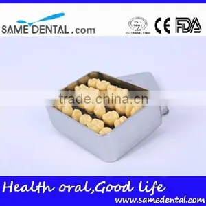 2 Times Tooth Model Dental Eduction School Teaching Dental Model thumbnail-3