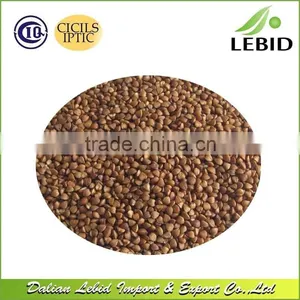 Chinese Wholesale Dried Style Roasted Buckwheat Kernel thumbnail-3