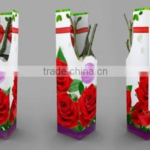 Rose Plants / Grafted Rose Plants thumbnail-4