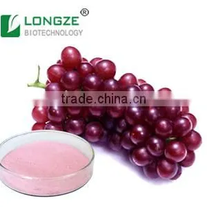 High-quality Sprayed-Dried Grape Juice Fruit Powder Vitis Vinifera for Food and Beverage thumbnail-1