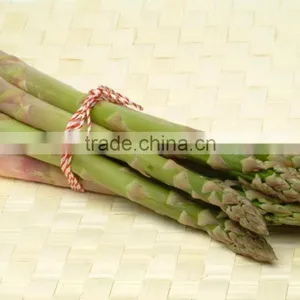 Frozen Asparagus, IQF Asparagus thumbnail-5
