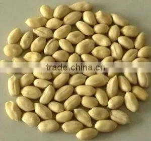 0.8-1t/h Dry Way Roasted Peanut Peeling Machine/red Peanut Skinner/peanut Skinning Machine2078 thumbnail-1