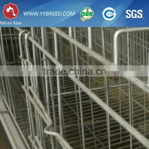 Chicken Breeding Cage for Poultry Farm thumbnail-1