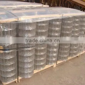 Welded Wire Mesh(Manufacturer) thumbnail-4