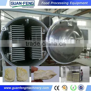 Professional Fruit Lyophilizer Equipment Industrial Lemon Drying Machine thumbnail-3