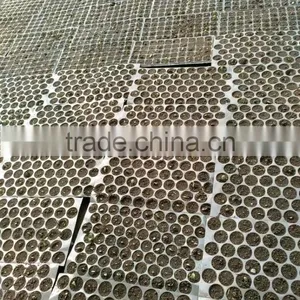 China Seed Trays for Greenhouse 104 Cell, 545*355mm, 40mm Depth thumbnail-1