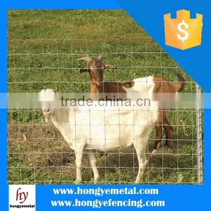 Sheep Wire Mesh Fence(Hot Sale) thumbnail-1