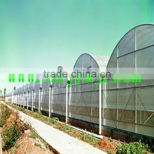 Span Plastic Greenhouse thumbnail-1