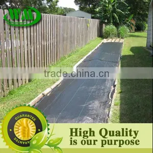 Agricultural Black Plastic Ground Cover thumbnail-5