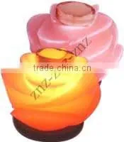 SALT LAMP AROMA SPREADER| HIMALAYAN SALT LAMPS| SALT CRYSTAL LAMP thumbnail-1