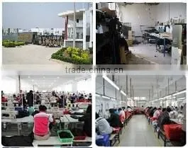 Guangdong Dragon Empire Trade Co., Limited company overview - view 1 thumbnail