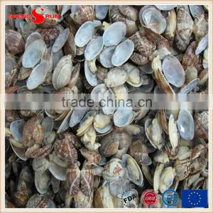 Frozen Boiled V-packed Baby Clam thumbnail-1