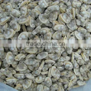 Seafood Frozen Canned Baby Clam thumbnail-2