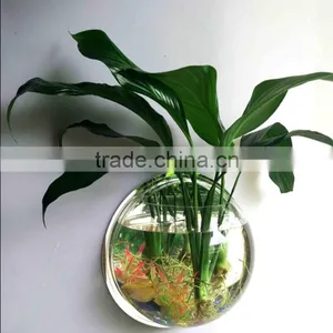 Custom Acrylic Fish Bowl,acrylic Plastic Fish Bowl Wholesale,acrylic Fish Bowl Maker thumbnail-1