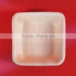 Biodegradable Tableware thumbnail-2