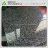 Nero Africa Granite thumbnail-1