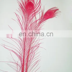 Top Quality Pink 80cm-90cm Peacock Feather thumbnail-1