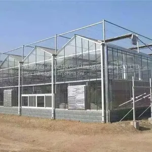 Venlo Glass Greenhouse Agricultural Multi-span Glass Greenhouse thumbnail-5