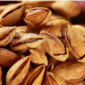 Almonds Drying Machine thumbnail-4