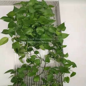 High Quality Stainless Steel Hole Galvanized Perforated Metal Mesh thumbnail-2