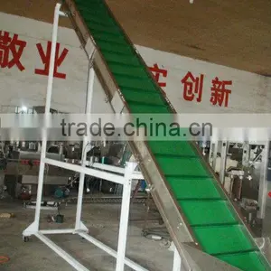 Auto Loader for Granule Packing Machine thumbnail-1