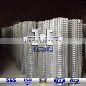 Hot Dipped Galvanized Welded Wire Mesh thumbnail-1