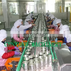 Canned Fruit Cocktail Processing Production Line thumbnail-3