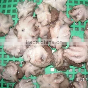 Frozen Baby Octopus Whole thumbnail-3