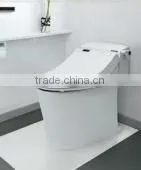 Raised Toilet Seat Compact Size Low Price Performance thumbnail-1