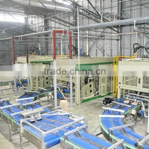 Biodegradable Paper Dish Pulp Molding Machine Price Interesting by HGHY thumbnail-5