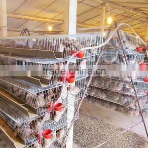 6 Tiers A Type 720 Layer Quails Automatic Quail Cage for Quails Farming thumbnail-3
