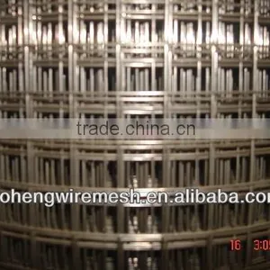 Electronic Galvanized Welded Wire Mesh thumbnail-1