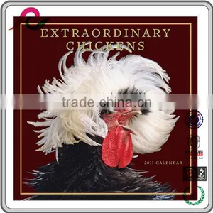Extrordinary Chickens Double Month Printing Islamic Calendars thumbnail-5