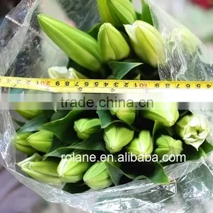 Cheap Whole Sale Lily For Cut Flower For Banquets thumbnail-4