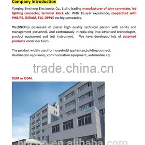 Hot Sale 250V Cable Type IP67 Waterproof Connectors 2pin 3pin thumbnail-5