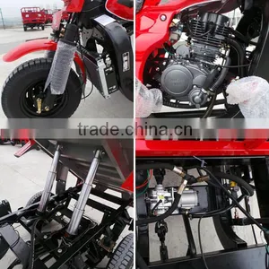 Hot Sale!!! 150cc 200cc 250cc 300cc CHINA SHINERAY CARGO TRICYCLE thumbnail-3