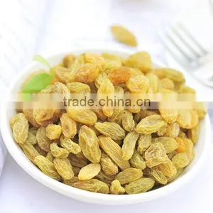Thompson Seedless Sultanina Dried Green Grape thumbnail-6