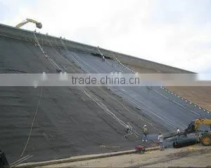 Good Quality Best Price Fish Farm Pond Liner HDPE Geomembrane thumbnail-4