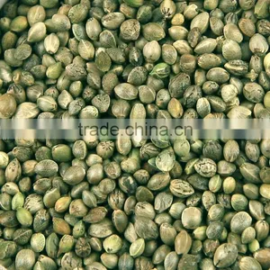 Hemp Seed 2016 thumbnail-1