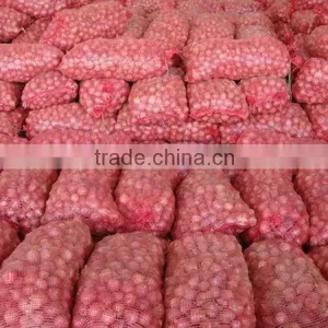 Pickle Red Onion From Pakistan thumbnail-1