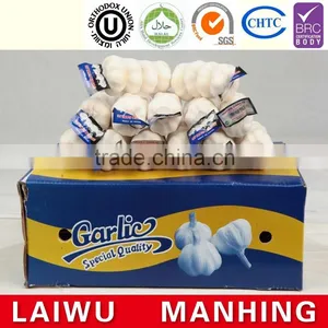 Organic Normal White Fresh Garlic thumbnail-1