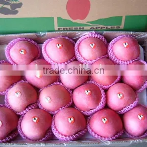 Apple Fuji Rosy Blush for Indonesia thumbnail-2