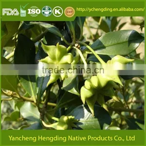 Factory Supply Natural Star Anise From Jiangsu of China/Whole Star Anise Good Quality and Big Quantity thumbnail-4