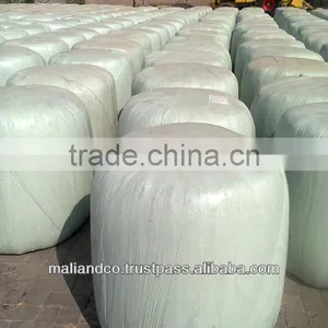 Corn Silage thumbnail-1