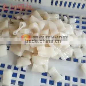 FGB-118 Auomatic Squid Ring Cutting Machine, Squid Rings Slicing Machine, Squid Cutter thumbnail-6