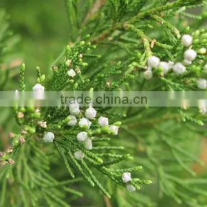 CEDARWOOD TERPENES (CUPARENE) thumbnail-2
