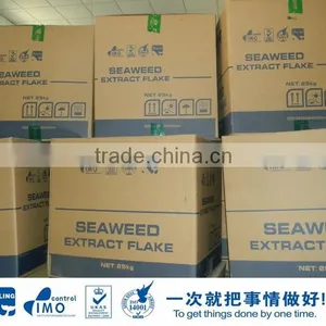 Seaweed Extract Fertilizer thumbnail-5